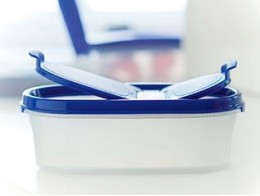 Компактус овальный 500 мл с крышкой Tupperware
