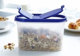 Компактус овальный 1,1 л с крышкой Tupperware