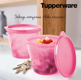 Набор Чаша Новая классика 800 мл 2 шт Tupperware