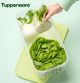 Контейнер «Умный холодильник» Tupperware (6,1 л)