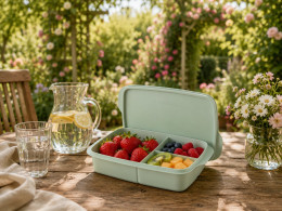 Контейнер Здоровый перекус 1 л зеленый Tupperware